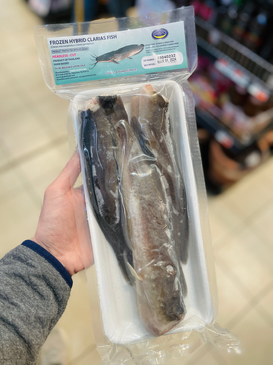 Gusto - Frozen Hybrid Clarias Fish (Catfish) - ปลาดุกตัดหัว แช่แข็ง